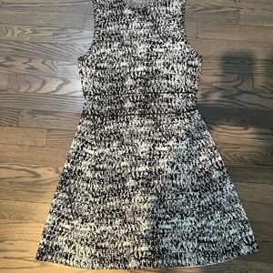 Brand New theory Dress